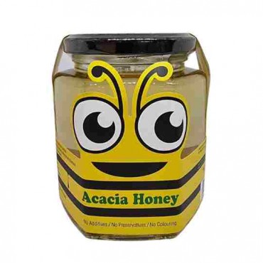 Acacia Honey 500G